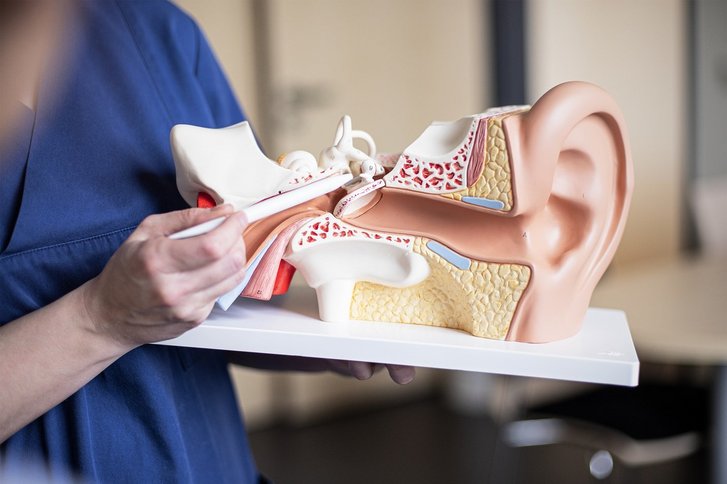 Ear, Nose & Throat